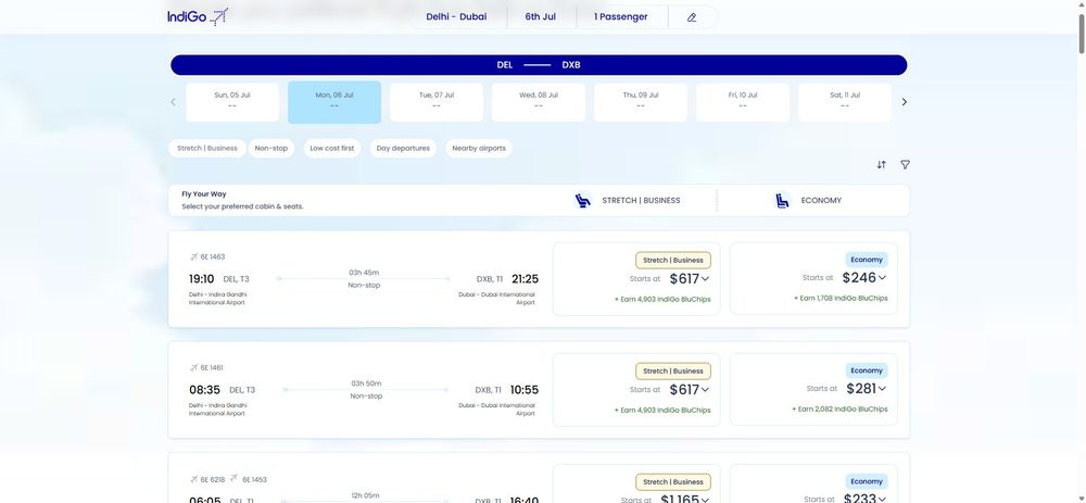 Список рейсов Delhi (DEL) → Dubai (DXB): прямые 6E 1463 (19:10→21:25, 3 ч 45 мин) и 6E 1461, эконом от 246 USD, Stretch/бизнес от 617 USD, с начислением миль IndiGo BluChips.